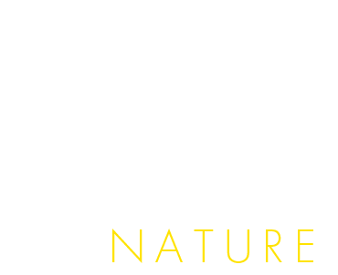 A WATER LIKE THIS CAN ONLY BE CREATED BY NATURE